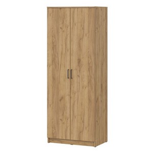 Шкаф распашной ШК 2 (дуб золотистый)