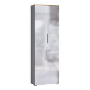 Шкаф двухстворчатый для одежды Октава 13.338 с зеркалом (серый графит, дуб золотой)