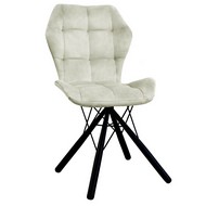 ���� ������� �������� (�������/������ �����)