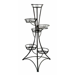 ���������� �� 6 ������� �������� (������)