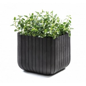 ����� CUBE PLANTERS 22� (������)