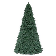   Giant Trees Hook-on PVC/PVC 580 