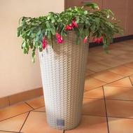    Rato Tubus DRTUS400-7529U 35  64  ()