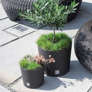    Rato Round DRTUS400L-440U 35  37.65  ()