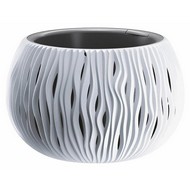    Sandy Bowl DSK290-S449 3,9  ()