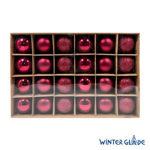    Winter Glade  6  24   