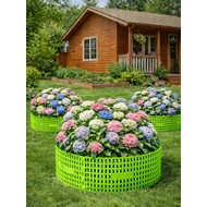 ������ ������� �������� �������� 10 �� (�������)