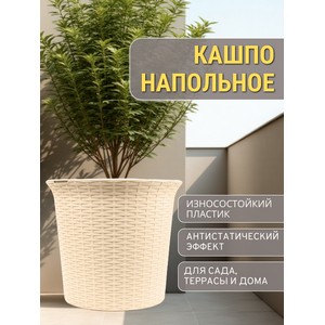 ����� ������� ��� ������ 50� ����� (�������)